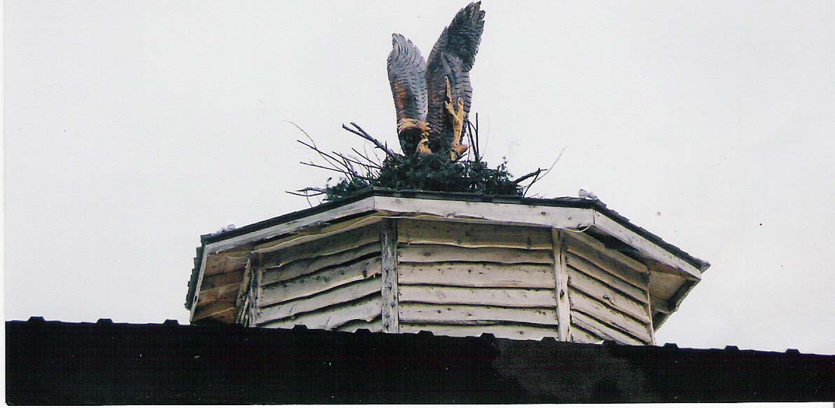 Eagle On Roof